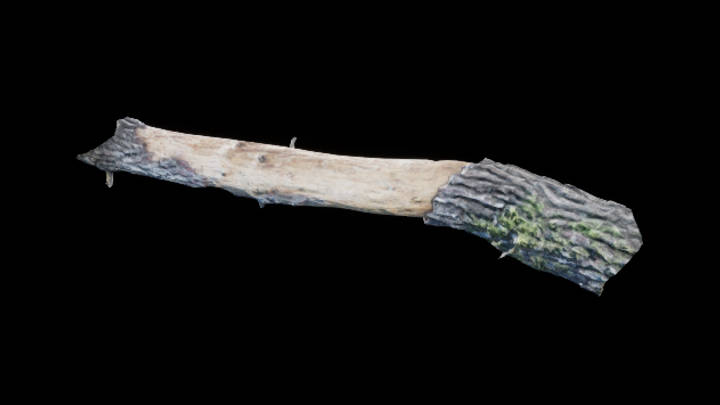 UE项目资源_树枝026