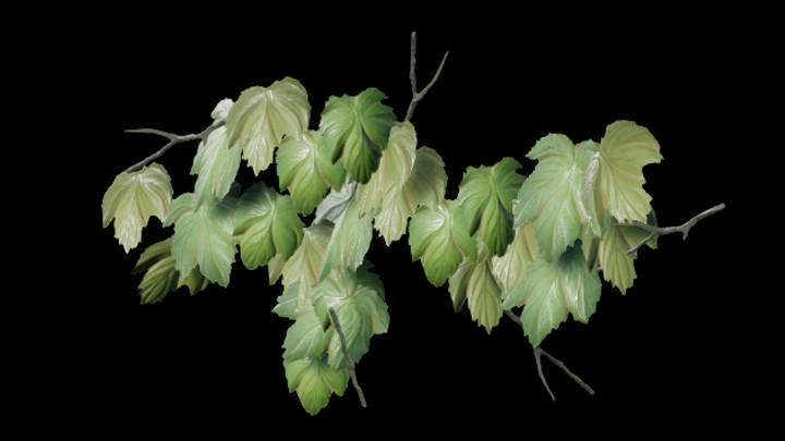 UE项目资源_藤蔓016