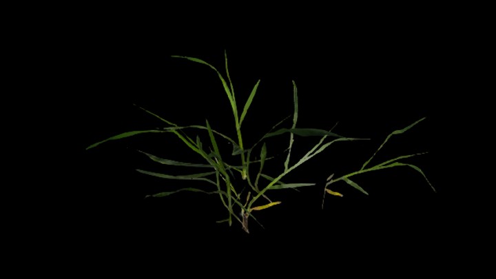 UE项目资源_草229