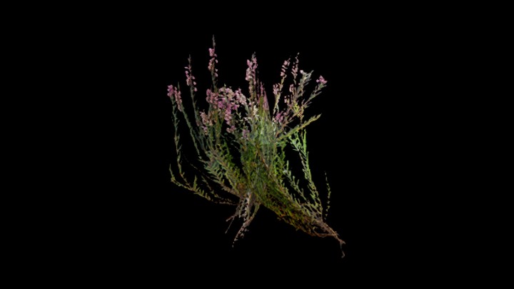 UE项目资源_草237