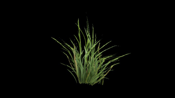 UE项目资源_草238