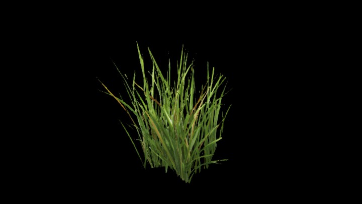 UE项目资源_草242