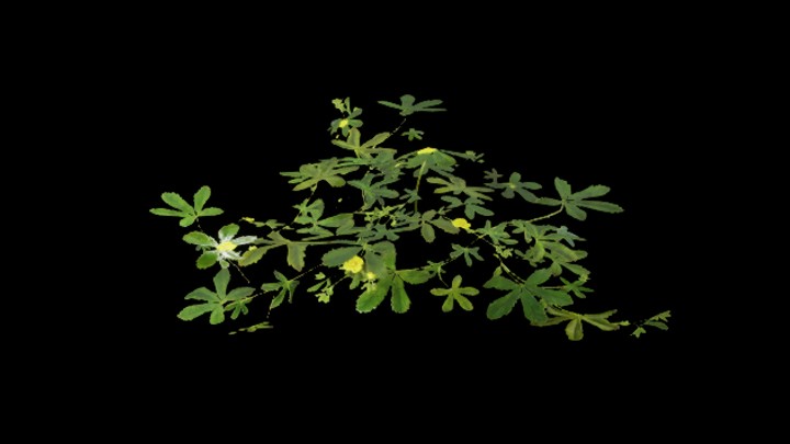 UE项目资源_草245