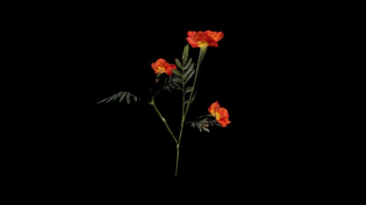 UE项目资源_花016