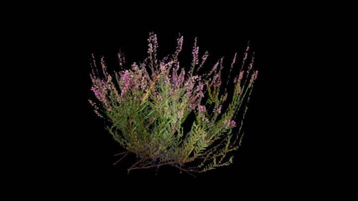 UE项目资源_草254