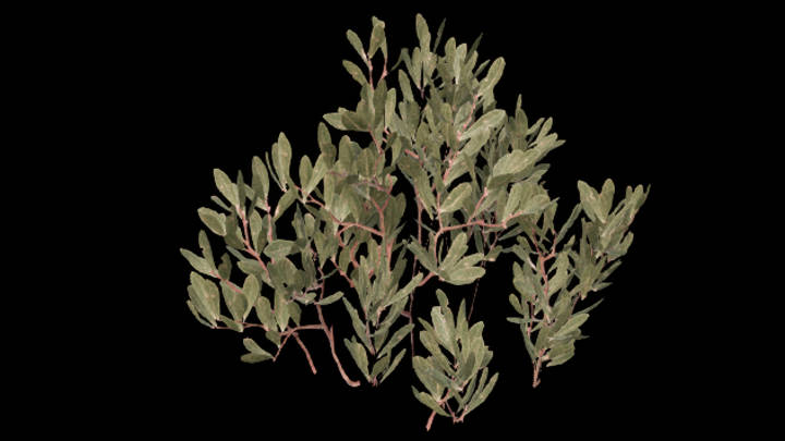 UE项目资源_草255