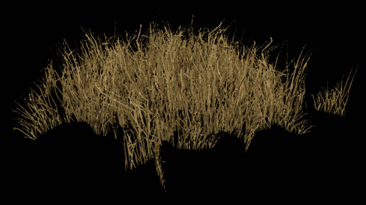 UE项目资源_草263