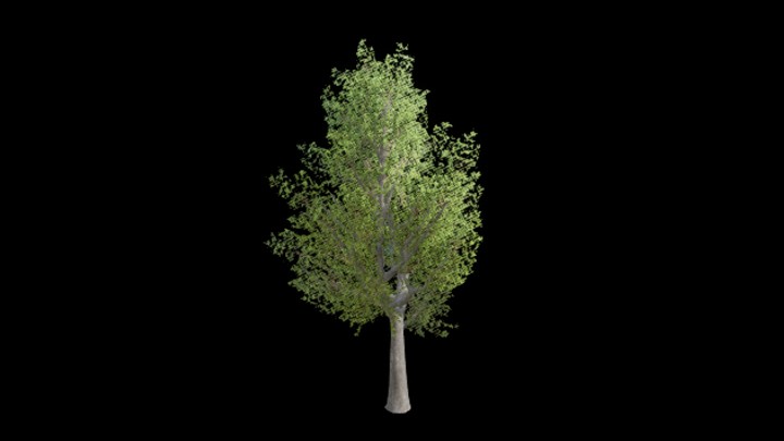 UE项目资源_树206