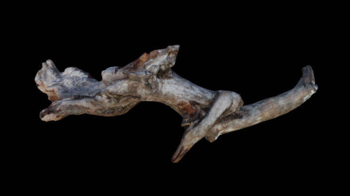 UE项目资源_木头023