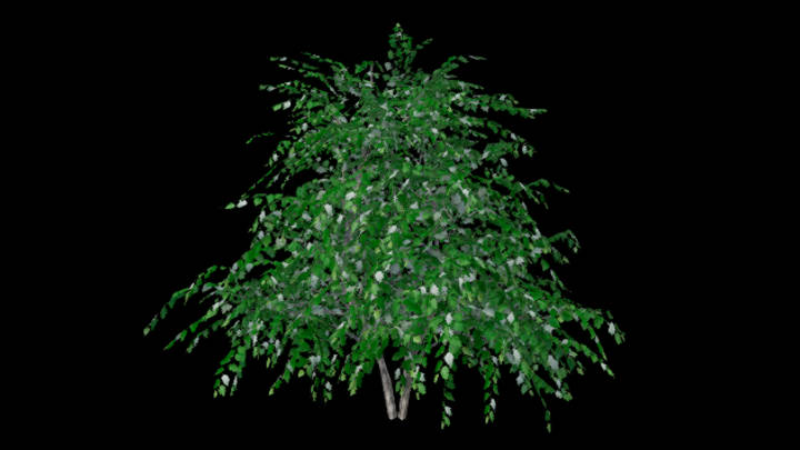 UE项目资源_植物144