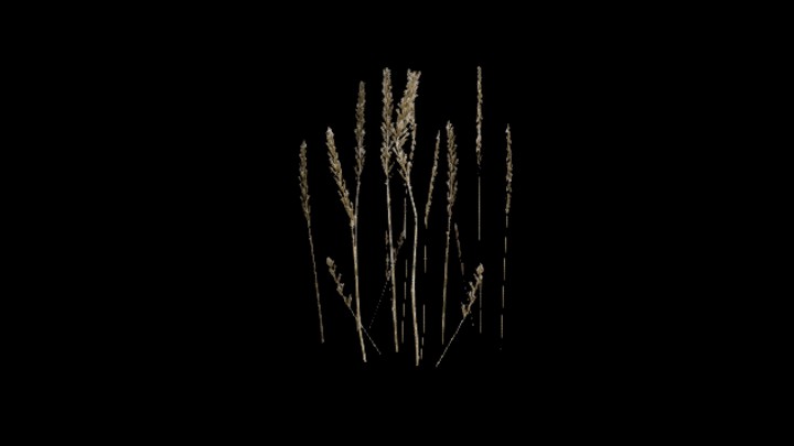 UE项目资源_草354