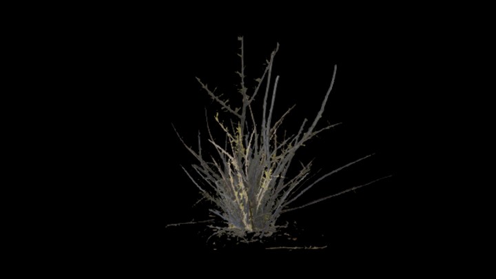 UE项目资源_草298