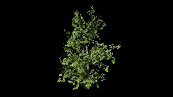 UE项目资源_树222