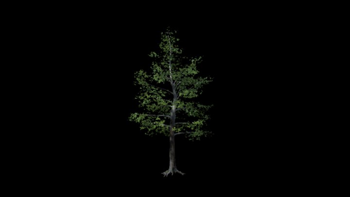 UE项目资源_树223