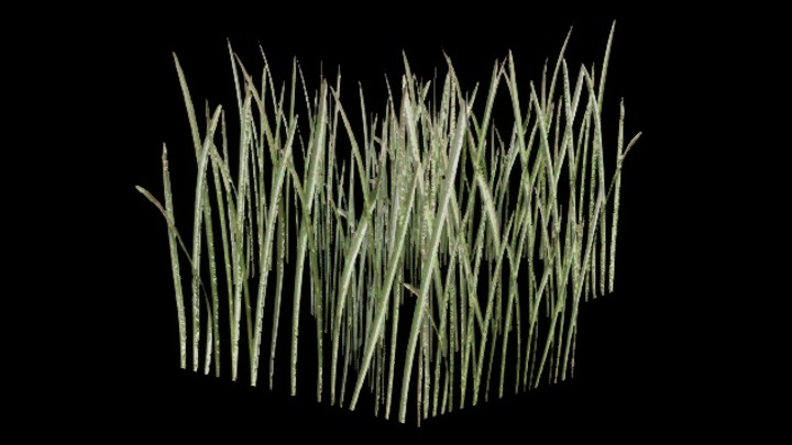 UE项目资源_草374