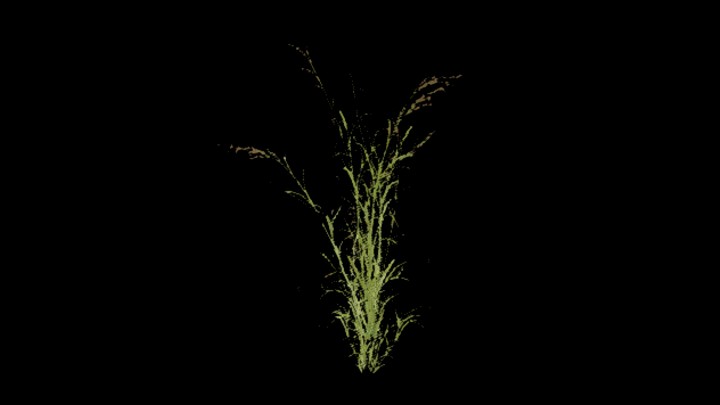 UE项目资源_草377