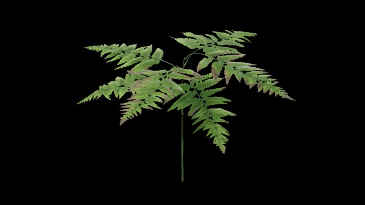 UE项目资源_草379