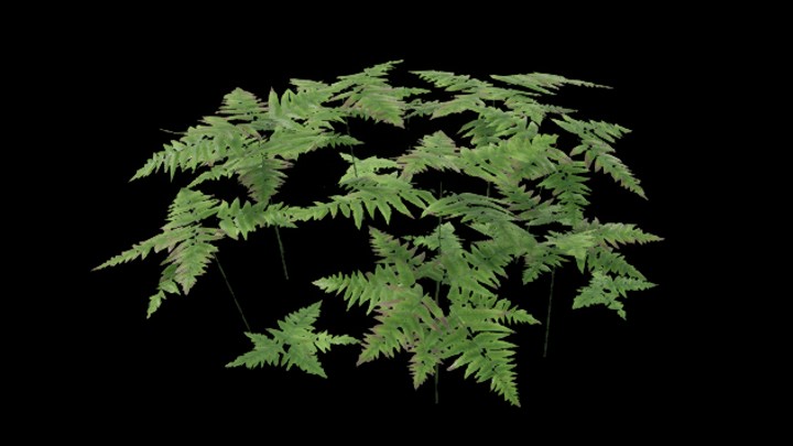 UE项目资源_草383