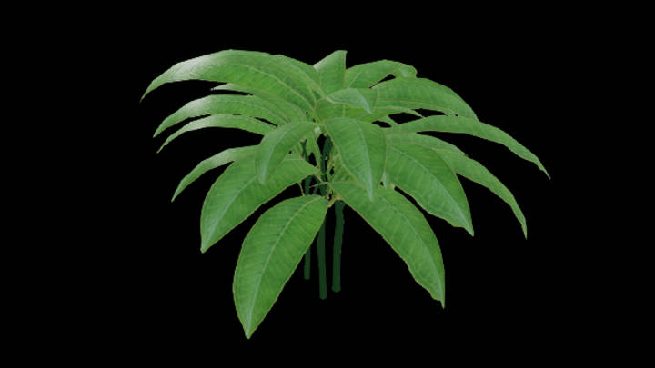 UE项目资源_草391