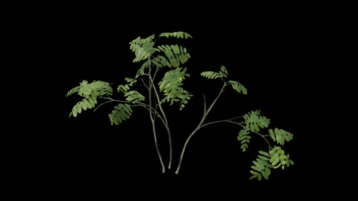 UE项目资源_灌木013