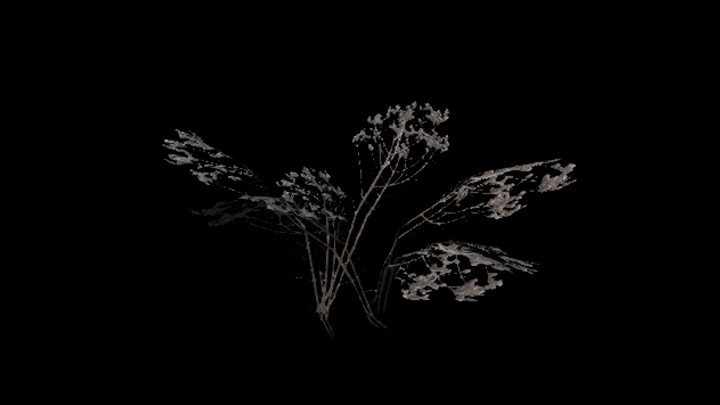 UE项目资源_花028