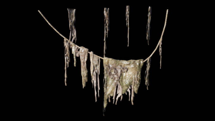 UE项目资源_树根010