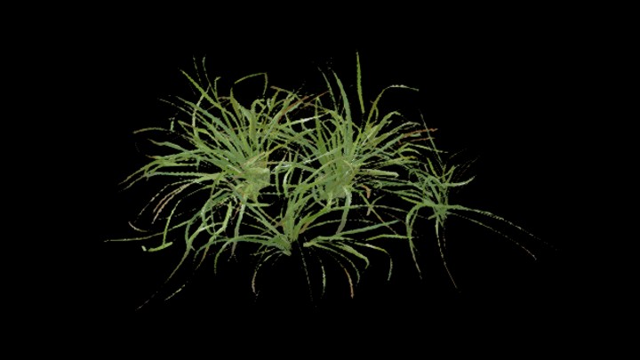 UE项目资源_草402