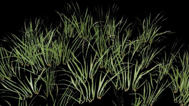 UE项目资源_草410