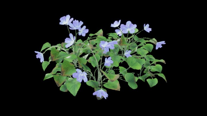 UE项目资源_花110