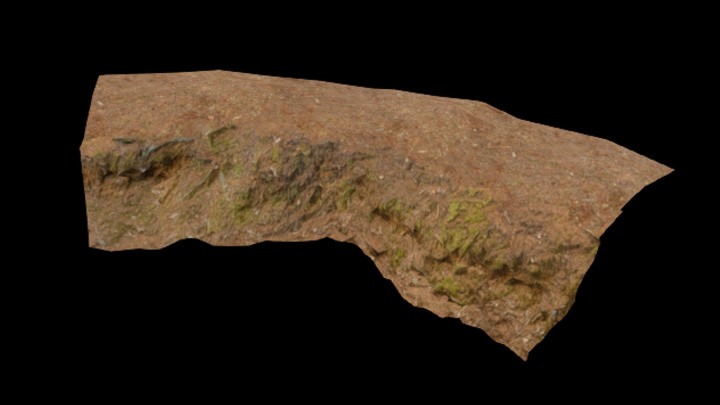 UE项目资源_林地005