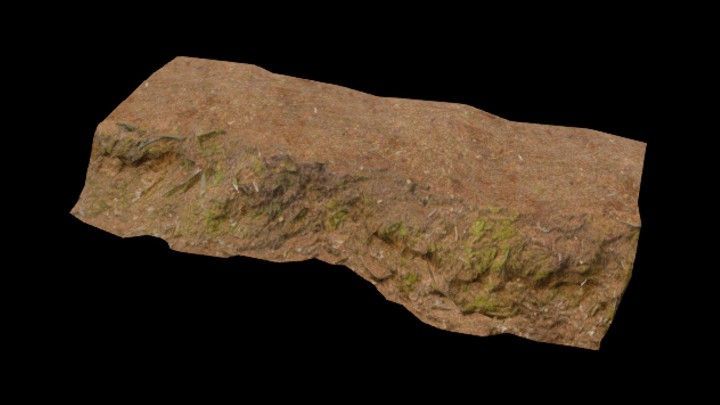 UE项目资源_林地009