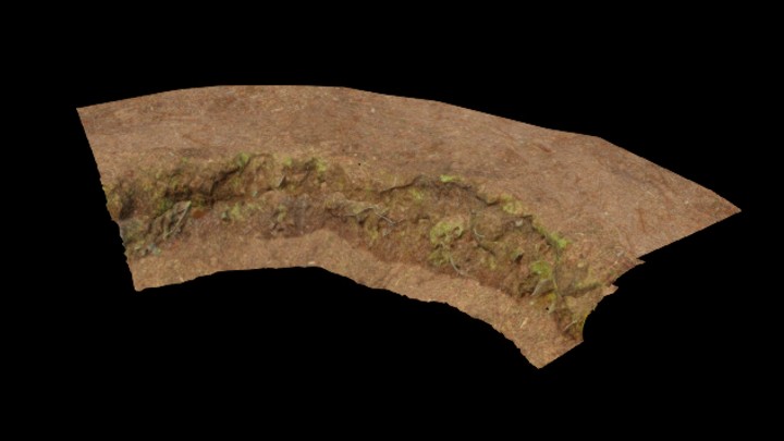 UE项目资源_林地011