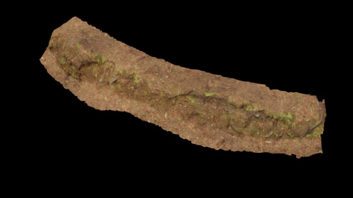 UE项目资源_林地016