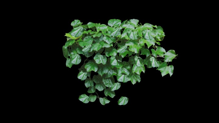 UE项目资源_藤曼002