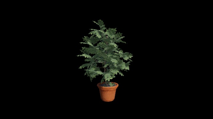 UE项目资源_盆栽081