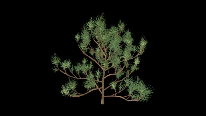 UE项目资源_树236