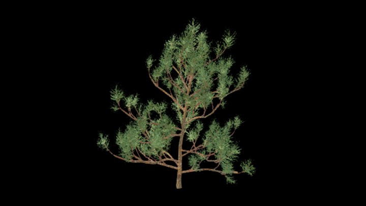 UE项目资源_树237