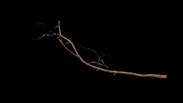 UE项目资源_树枝028