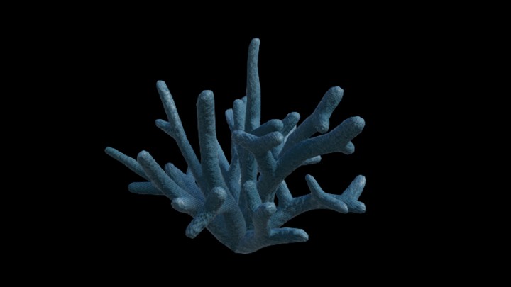 UE项目资源_植物030