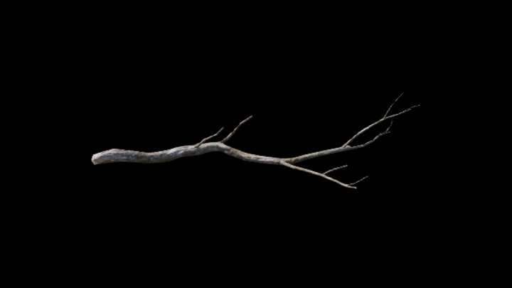 UE项目资源_植物152