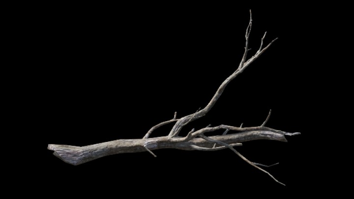 UE项目资源_植物150