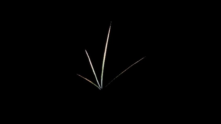 UE项目资源_植物160