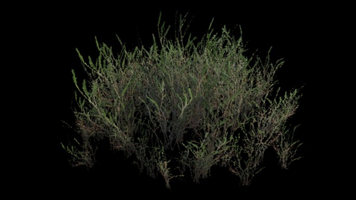 UE项目资源_植物169