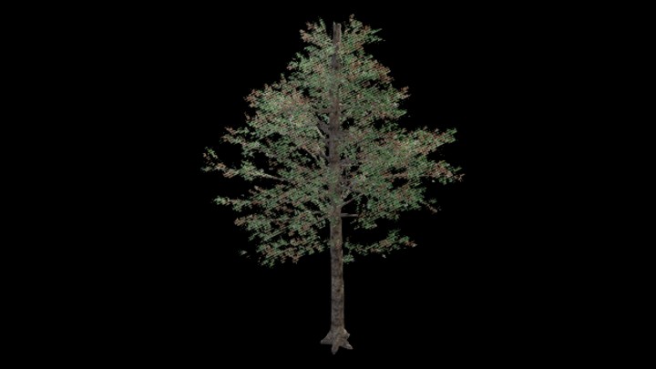 UE项目资源_植物165