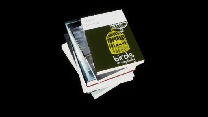 UE项目资源_书393