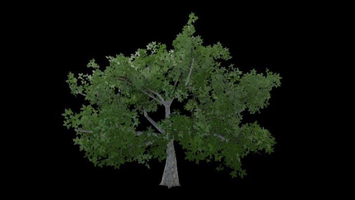 UE项目资源_植物200