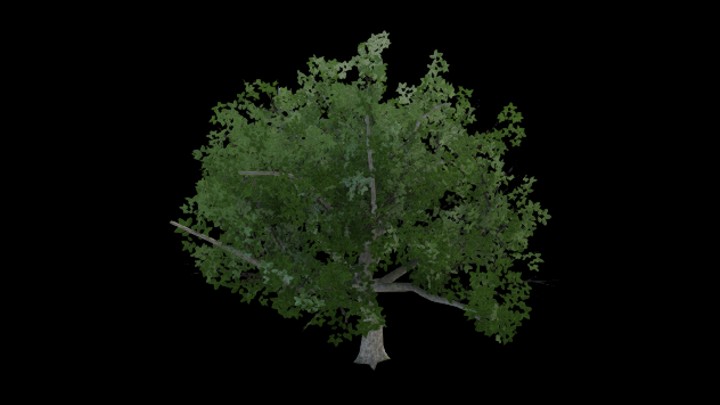 UE项目资源_植物201