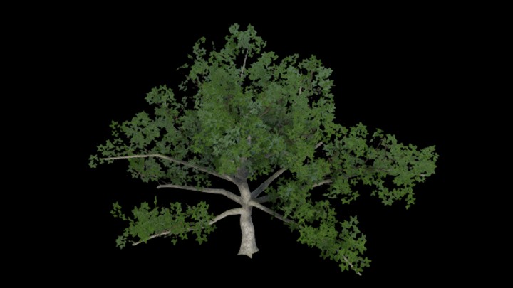 UE项目资源_植物202