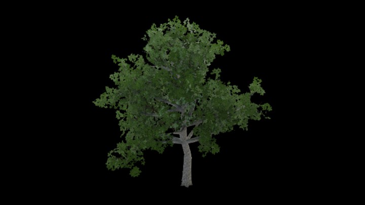 UE项目资源_植物203