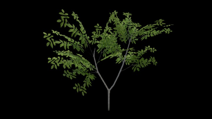 UE项目资源_植物204